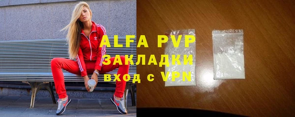 стаф Елабуга