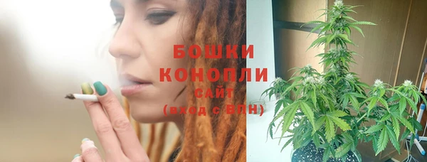 стаф Елабуга