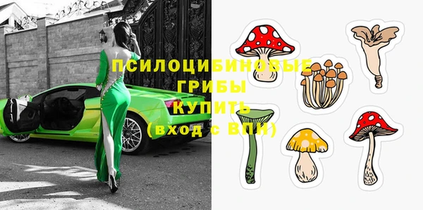 спайс Елизово