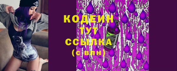 стаф Елабуга