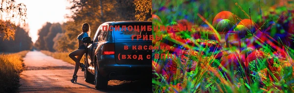 гидра Дмитриев