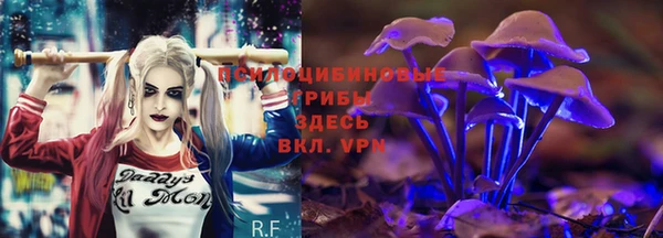 Альфа ПВП Ельня