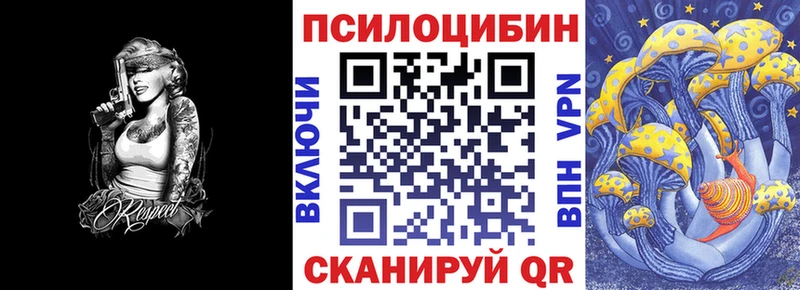 Купить  Подпорожье  Галлюциногенные грибы Cubensis 