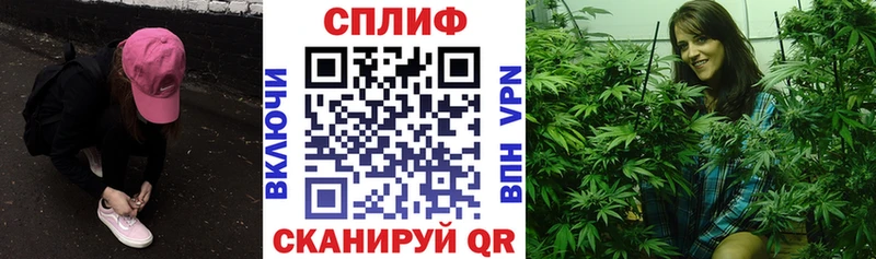 Купить  Подпорожье  Бошки марихуана планчик 